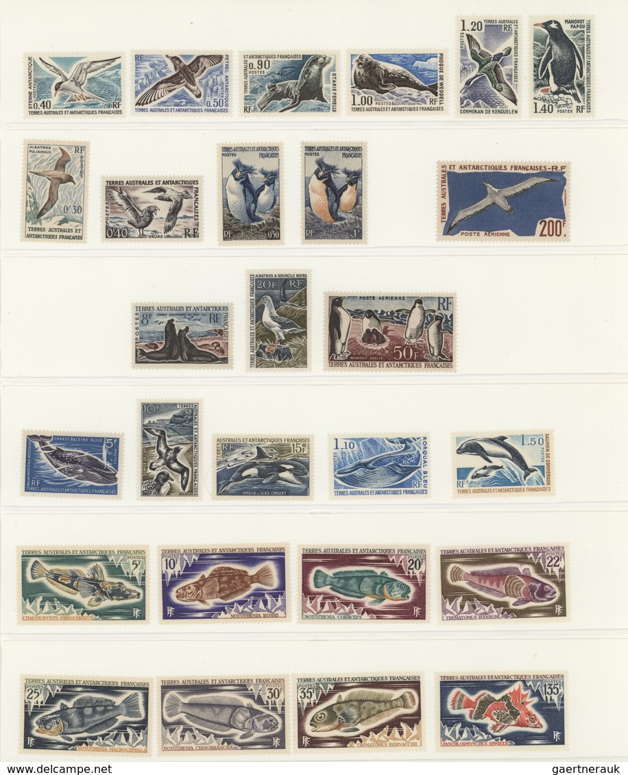 Thematik: Tiere-Vögel / Animals-birds: From 1940/1980 (approx), All World. Thematic Collection BIRDS - Other & Unclassified