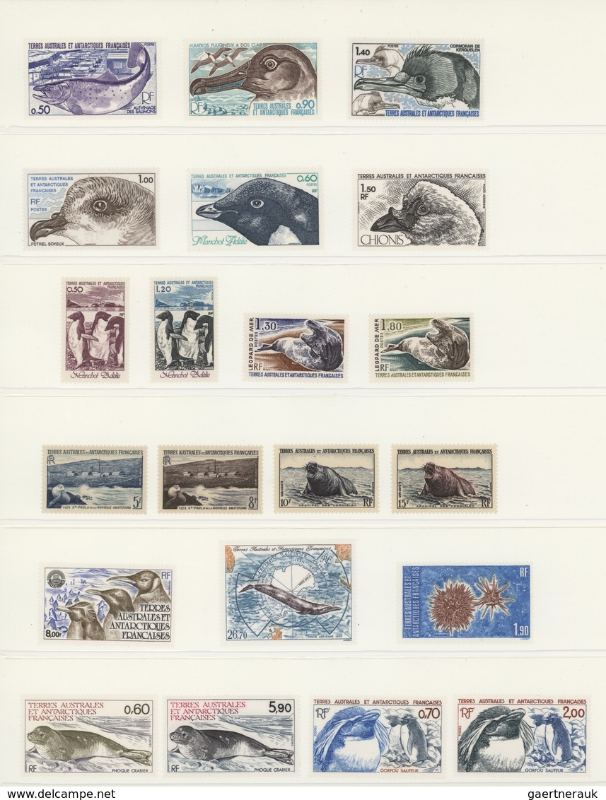 Thematik: Tiere-Vögel / Animals-birds: From 1940/1980 (approx), All World. Thematic Collection BIRDS - Other & Unclassified