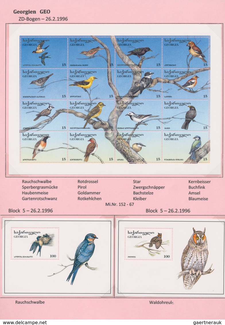 Thematik: Tiere-Vögel / animals-birds: 1959/2009, mainly 1990s, MNH collection of apprx. 296 souveni