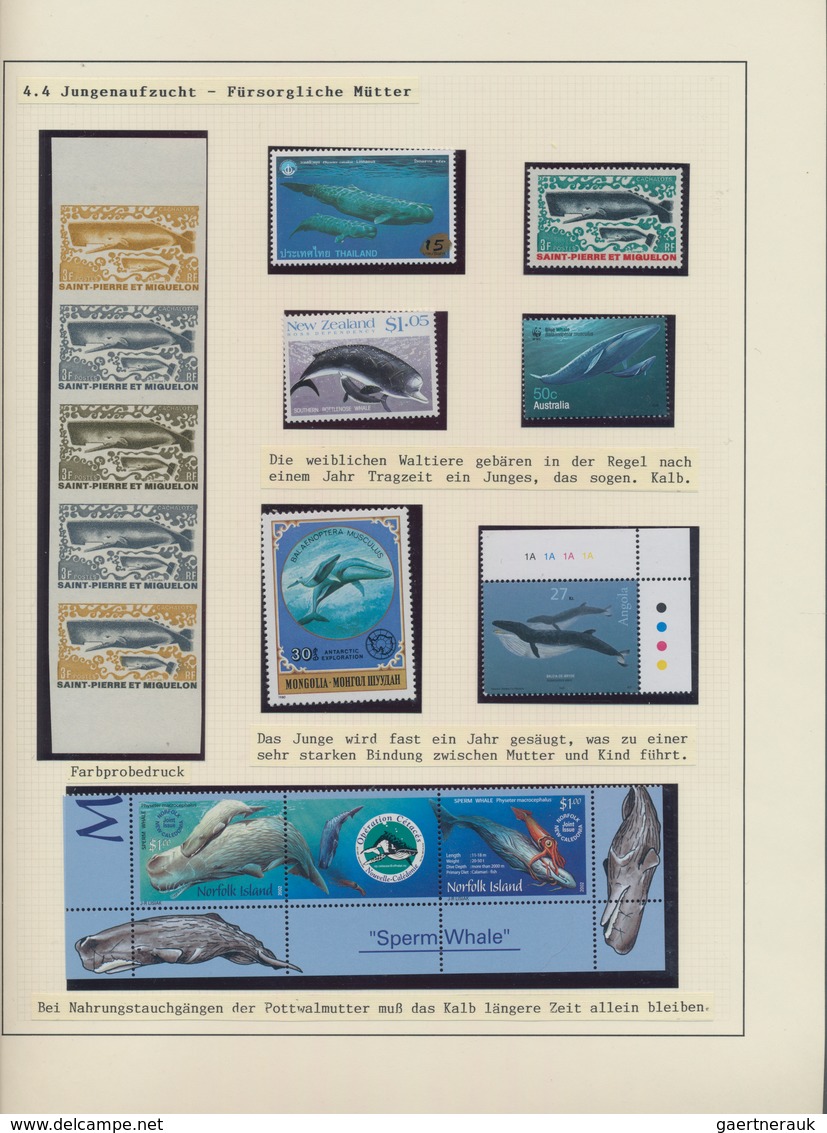 Thematik: Tiere-Meeressäuger (u.a. Wale) / animals-aquatic mammals: 1850/2010 (ca.), WHALES AND DOLP