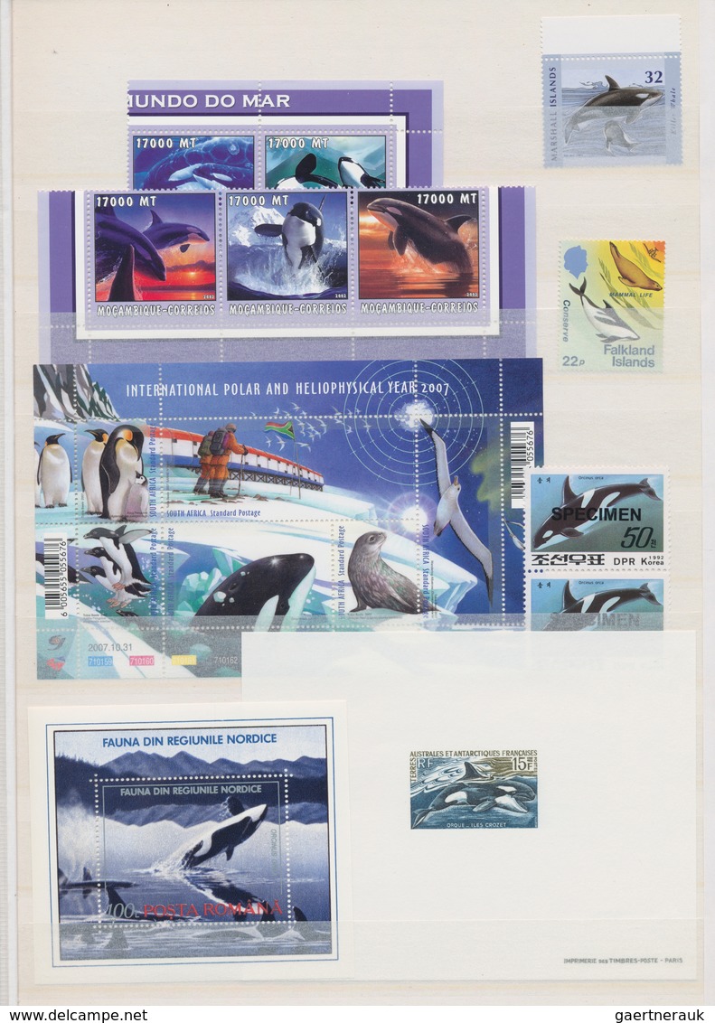 Thematik: Tiere-Meeressäuger (u.a. Wale) / Animals-aquatic Mammals: 1980/2012 (ca.), WHALES AND DOLP - Sonstige & Ohne Zuordnung