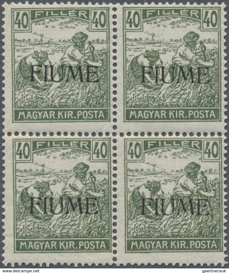 Fiume: 1918/1924, Accumulation On Eight Large Stockcards With Several Better Issues And Some Blocks/ - Fiume