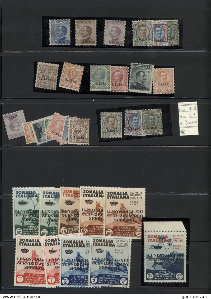 Italien: 1850/1960 (ca.), Italy/area, Mainly Mint Accumulation/stock In A Binder, Well Sorted From S - Collections