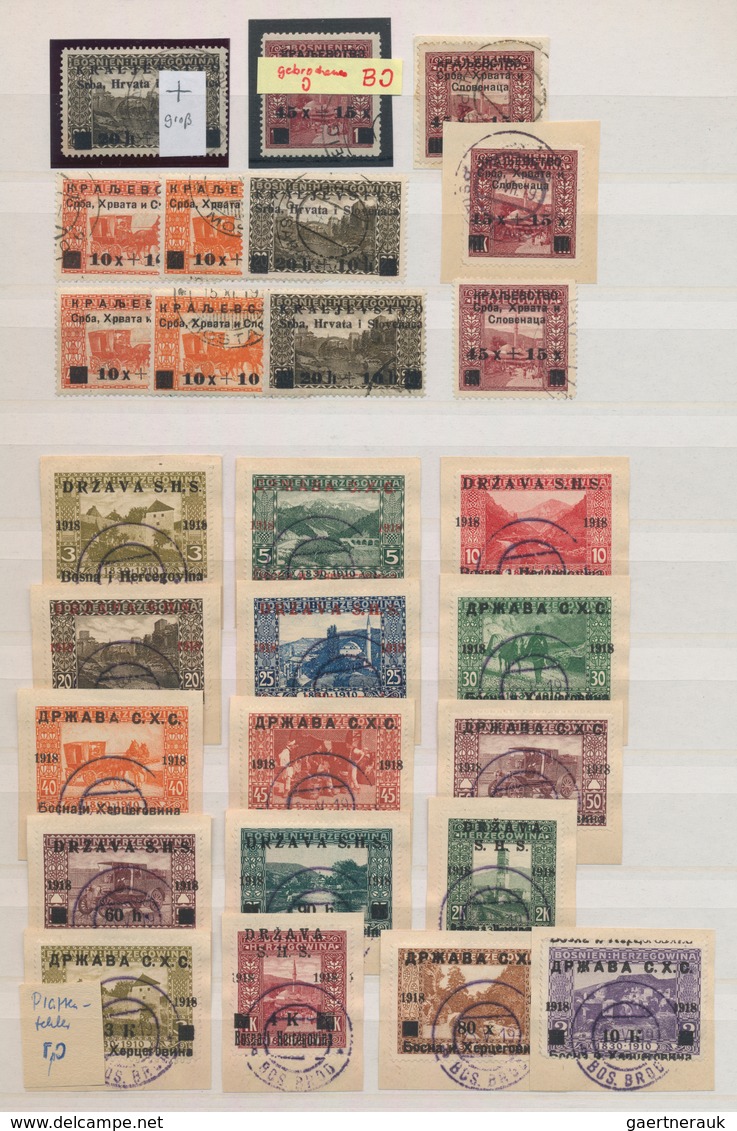 Jugoslawien: 1918/1919, Specialised Accumulation Of Apprx. 1.050 Stamps, Almost Exclusively Issues F - Brieven En Documenten