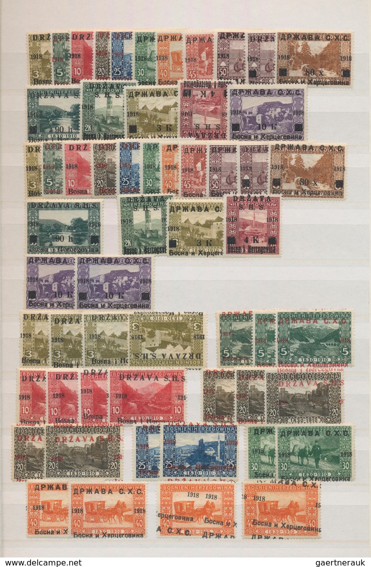 Jugoslawien: 1918/1919, Specialised Accumulation Of Apprx. 1.050 Stamps, Almost Exclusively Issues F - Covers & Documents