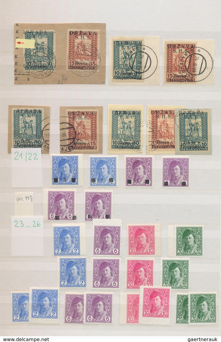 Jugoslawien: 1918/1919, specialised accumulation of apprx. 1.050 stamps, almost exclusively issues f