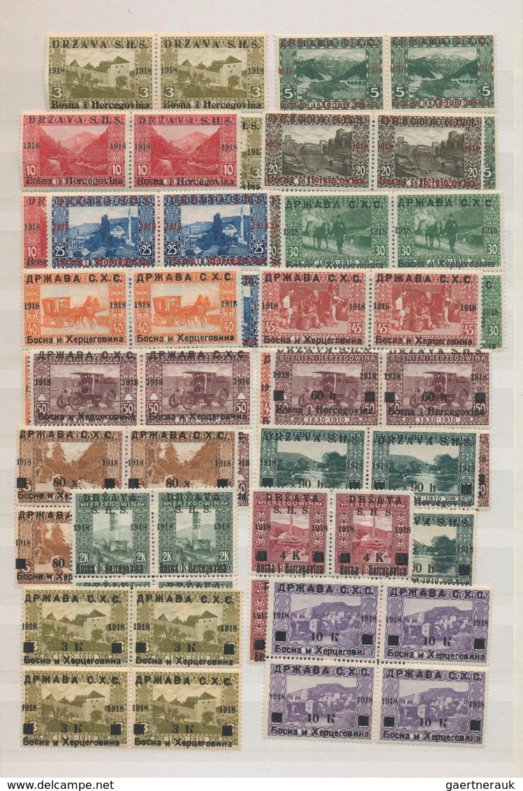 Jugoslawien: 1918/1919, specialised accumulation of apprx. 1.050 stamps, almost exclusively issues f