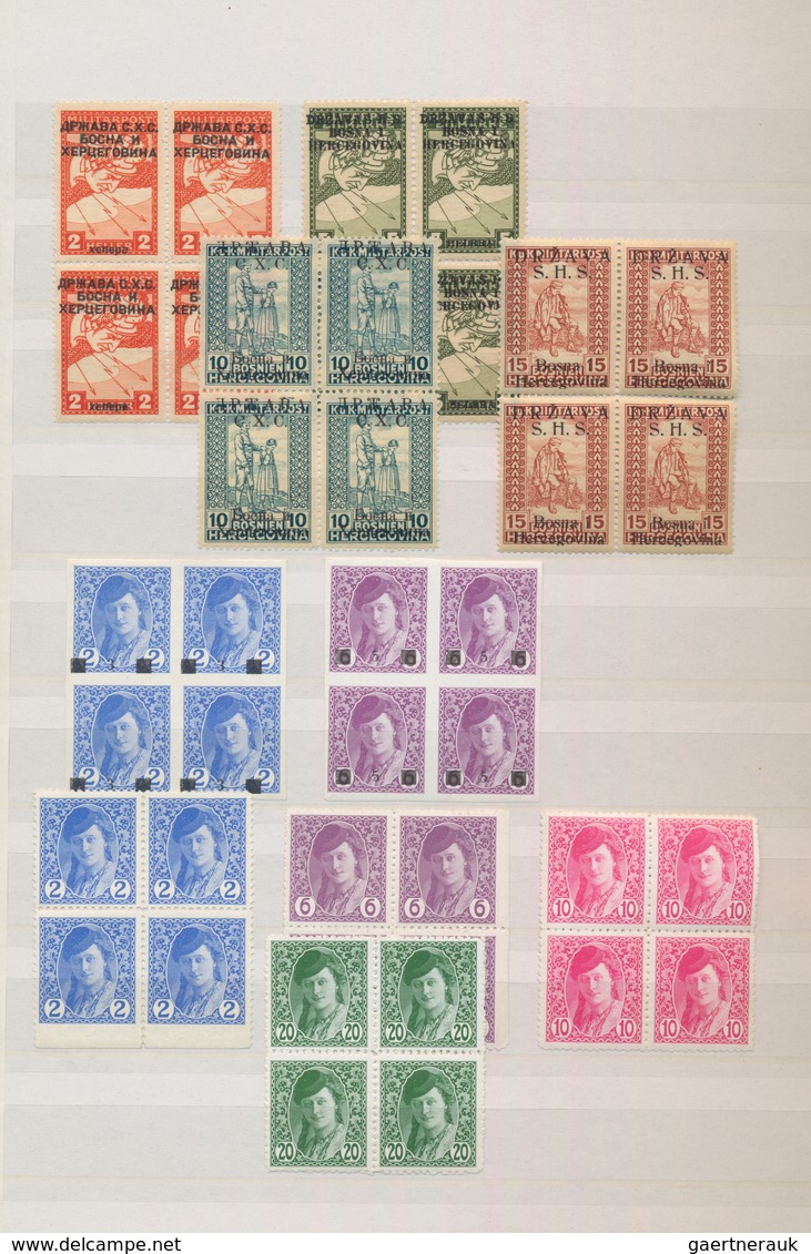 Jugoslawien: 1918/1919, specialised accumulation of apprx. 1.050 stamps, almost exclusively issues f