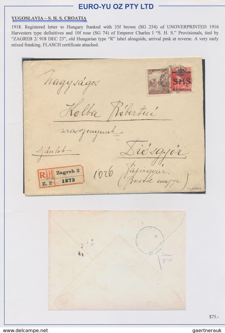 Jugoslawien: 1918/1920, Assortment Of 16 Better Entires, Comprising Parcel Despatch Forms, Interesti - Covers & Documents