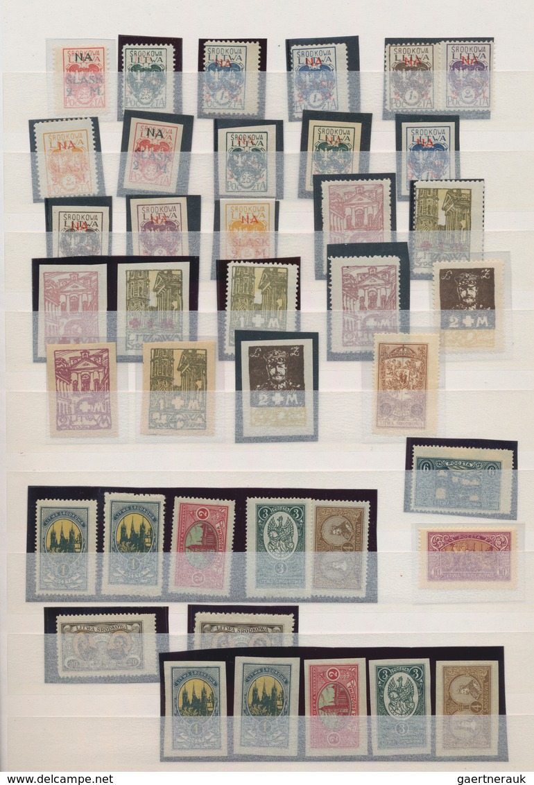 Mittellitauen: 1920/1922, Mint And Used Assortment/collection Of Apprx. 107 Stamps (plus Some Forger - Lituania