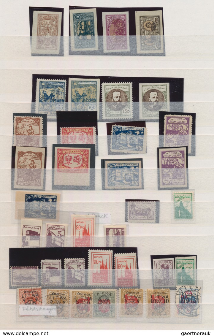 Mittellitauen: 1920/1922, Mint And Used Assortment/collection Of Apprx. 107 Stamps (plus Some Forger - Lithuania