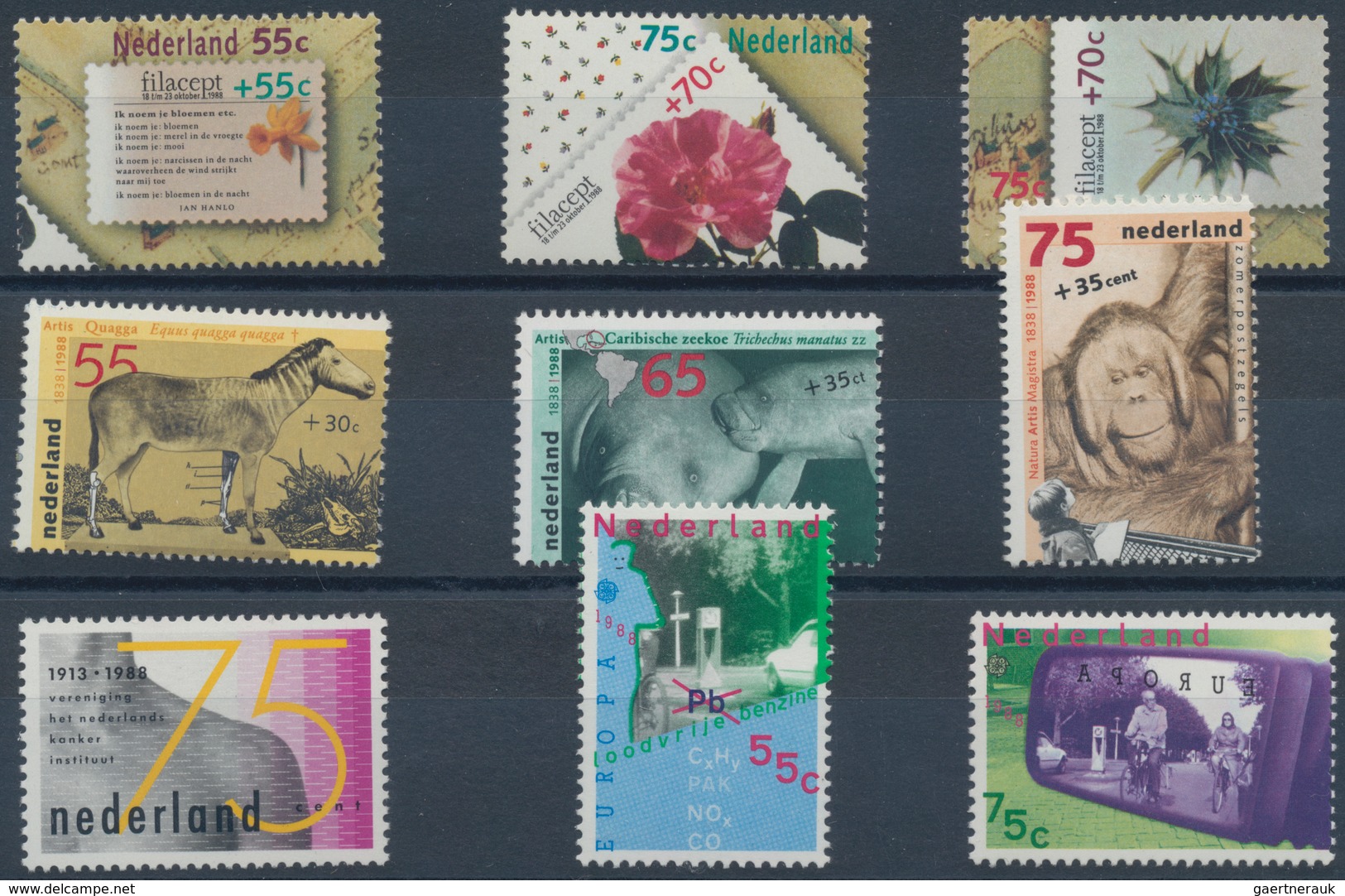 Niederlande: 1988, Sets Without The Souvenir Sheets Per 100 MNH. Every Year Set Is Separately Sorted - Andere & Zonder Classificatie