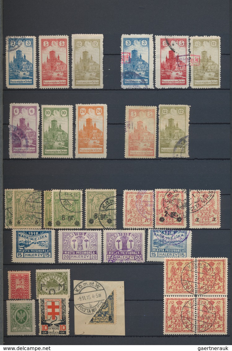 Polen: 1918/2005, Used And Mint Collection In Five Thick Stockbooks, Well Sorted Throughout And Main - Covers & Documents