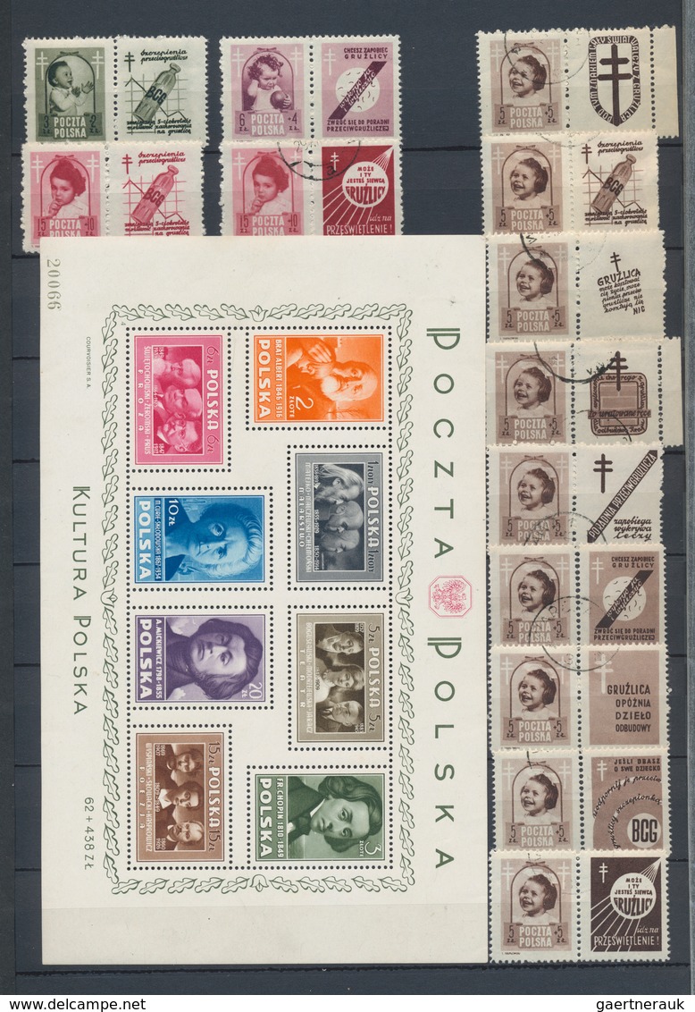 Polen: 1918/2005, Used And Mint Collection In Five Thick Stockbooks, Well Sorted Throughout And Main - Briefe U. Dokumente