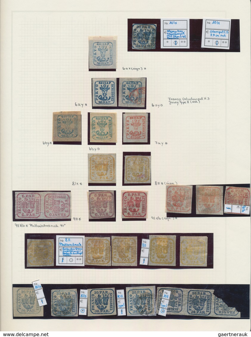 Rumänien: 1858/1928, Deeply Specialised Mint And Used Collection In A Binder, Neatly Arranged On Nea - Used Stamps