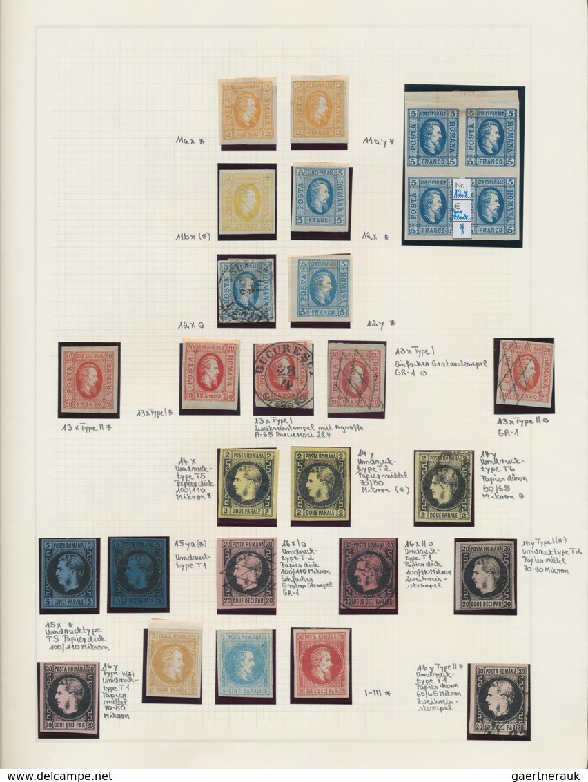 Rumänien: 1858/1928, Deeply Specialised Mint And Used Collection In A Binder, Neatly Arranged On Nea - Gebraucht