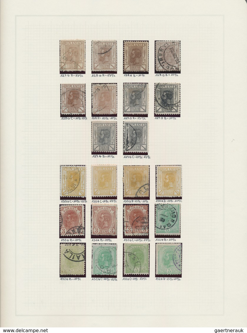 Rumänien: 1858/1928, deeply specialised mint and used collection in a binder, neatly arranged on nea