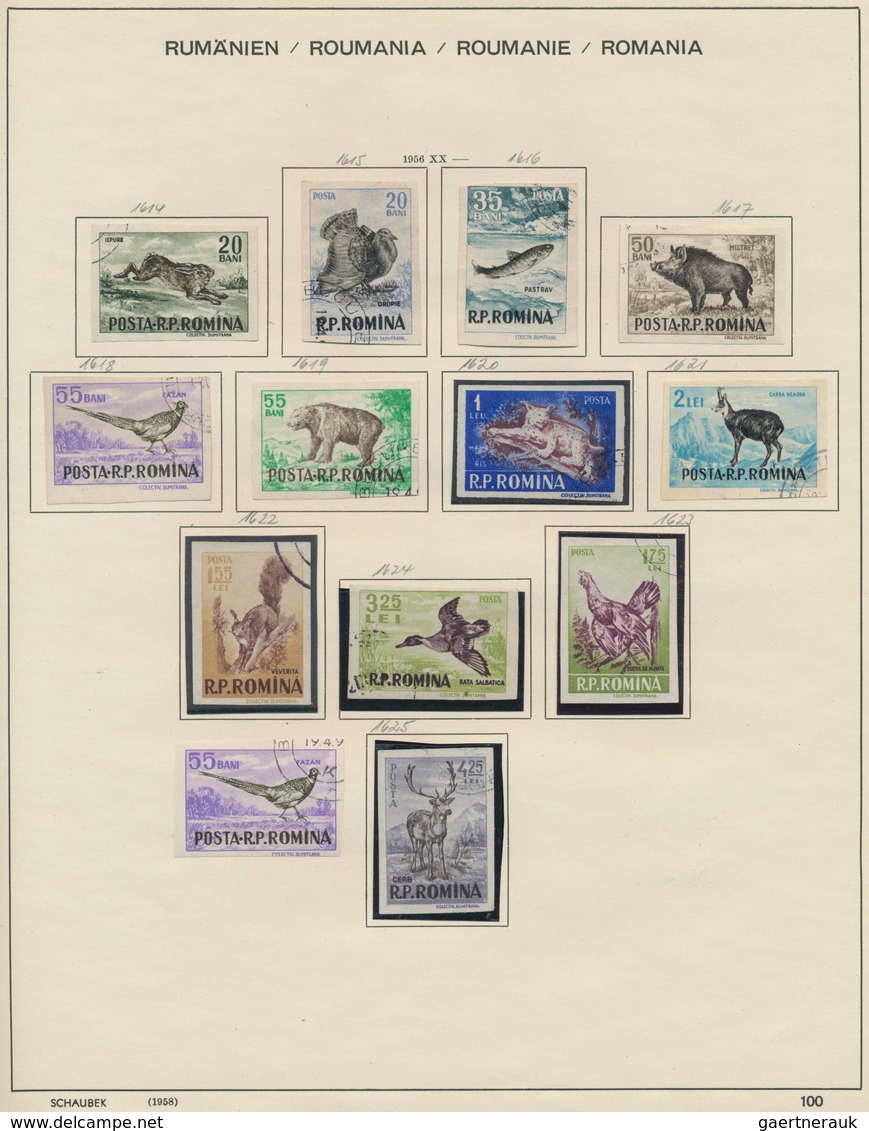 Rumänien: 1862/1992, used collection in two Schaubek albums, from some classic stamps and well colle