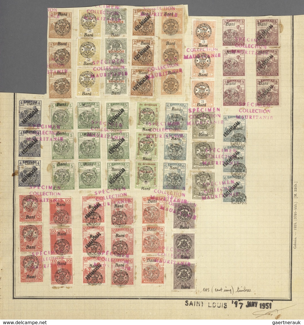 Rumänien - Neu-Rumänien: 1919. Collection Of 71 Strips Of 3 On UPU Album Page, Red Overprint "specim - Otros & Sin Clasificación