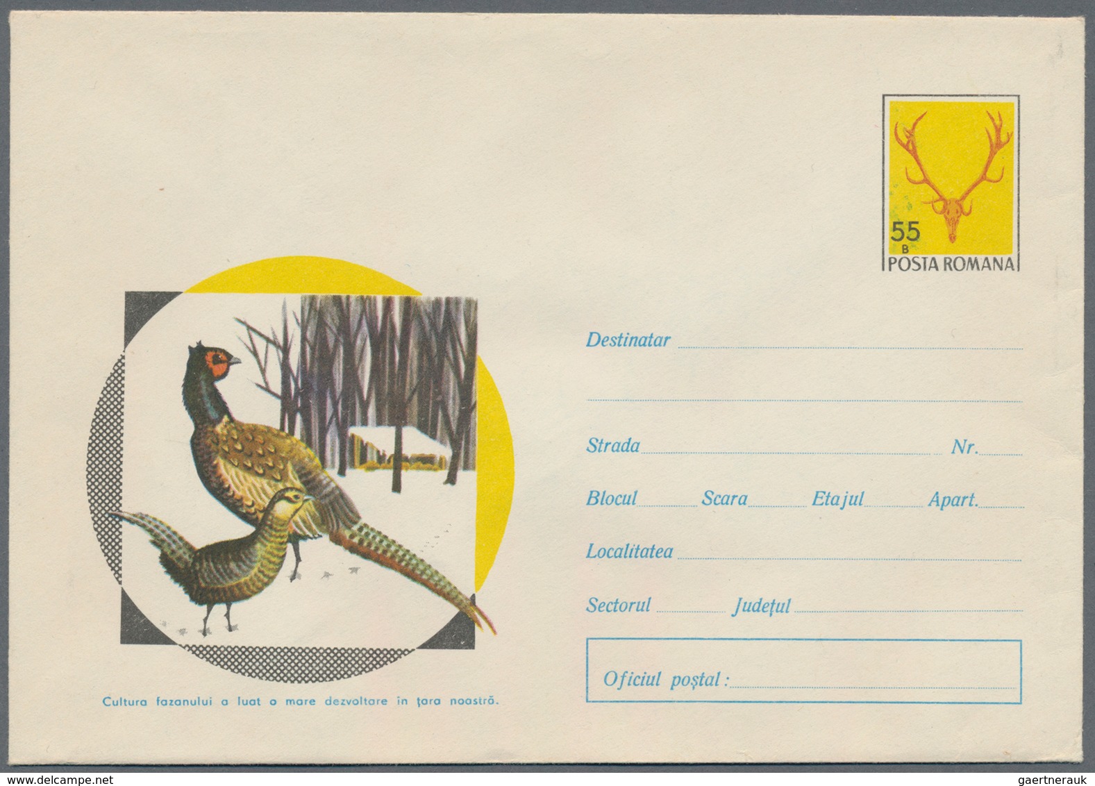 Rumänien - Ganzsachen: 1958/73 (ca.) Ca. 1.020 Unused And Used Pictured Postal Stationery Envelopes, - Postal Stationery