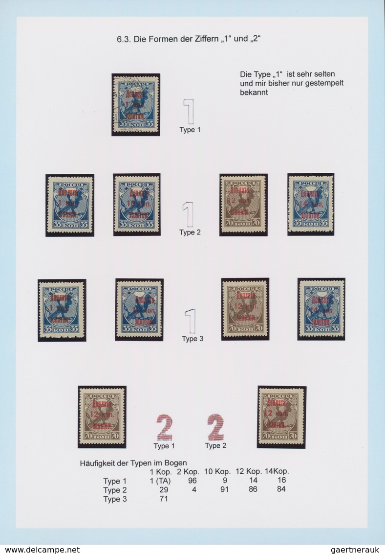 Russland: 1924/25 Amazing And Highly Specialized Collection Of Postage Due Stamps Of All Three Issue - Covers & Documents