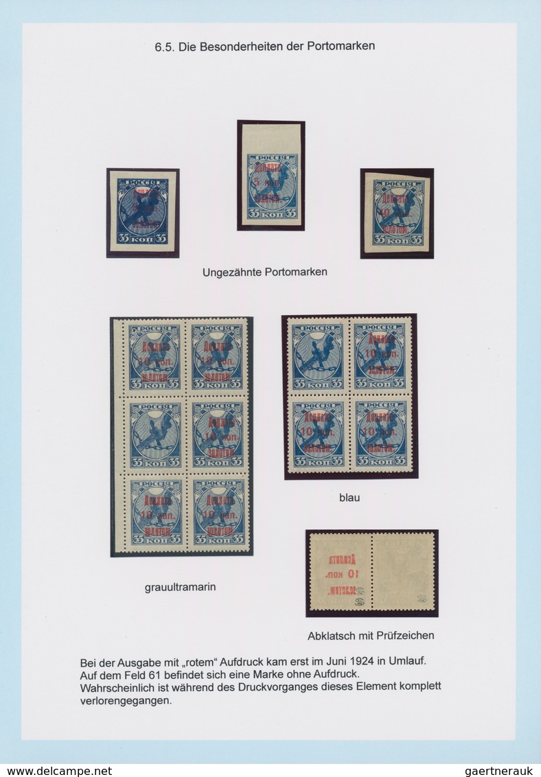 Russland: 1924/25 amazing and highly specialized collection of postage due stamps of all three issue