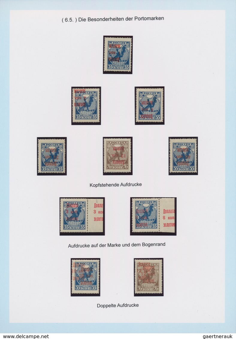 Russland: 1924/25 amazing and highly specialized collection of postage due stamps of all three issue