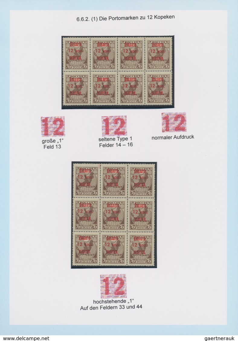 Russland: 1924/25 amazing and highly specialized collection of postage due stamps of all three issue