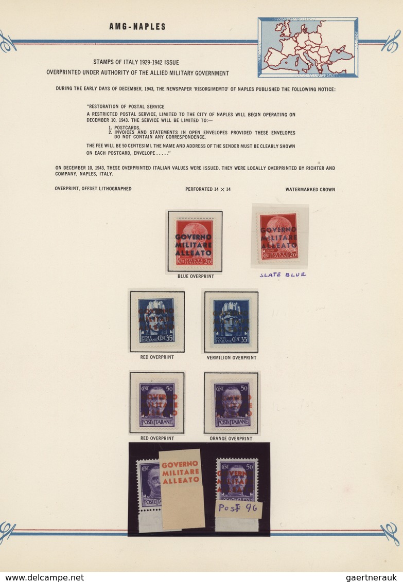 Triest - Julisch-Venetien (A.M.G.V.G.): 1943/1946, Deeply Specialised Collection On Album Pages, Com - Ongebruikt