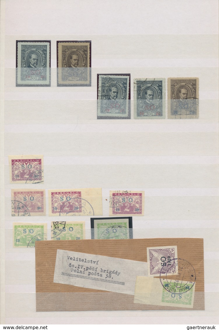 Tschechoslowakei - Ostschlesien: 1920, SO Surcharges, Used And Mint Collection Of Apprx. 240 Stamps - Sonstige & Ohne Zuordnung