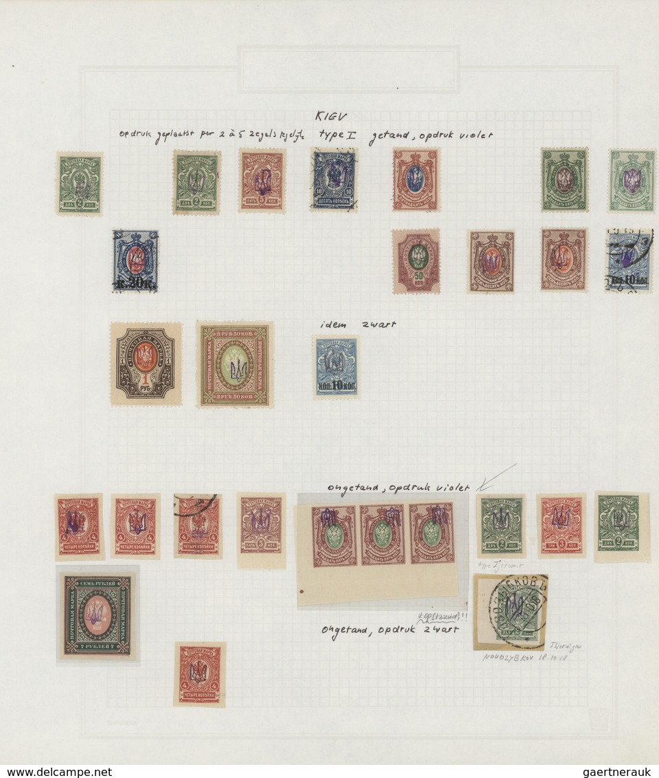 Ukraine: 1918/1923, Specialised Collection Ex Mich No. 1-70 On 36 Pages. Hundresd Of Stamps In Units - Ucrania