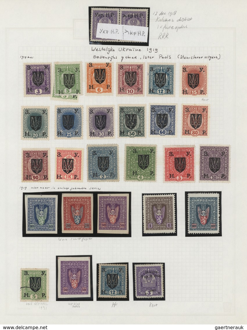 Ukraine: 1918/1923, Specialised Collection Ex Mich No. 1-70 On 36 Pages. Hundresd Of Stamps In Units - Ucraina