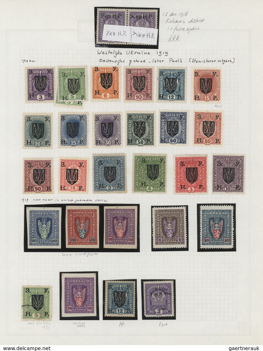 Ukraine: 1918/1923, Specialised Collection Ex Mich No. 1-70 On 36 Pages. Hundresd Of Stamps In Units - Oekraïne