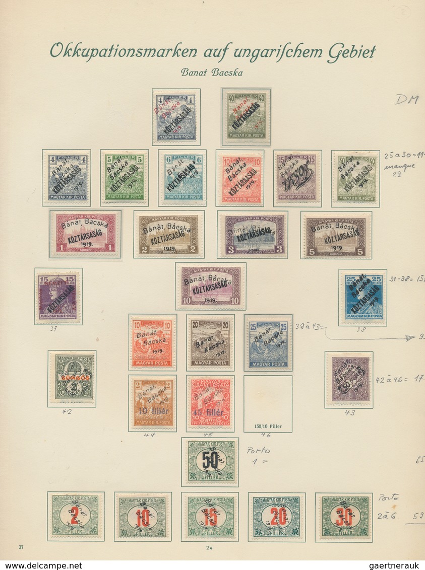Ungarn - Besetzte Gebiete: Arad: 1919/1921, Mainly Mint Collection Of Apprx. 300 Stamps On Borek Alb - Andere & Zonder Classificatie