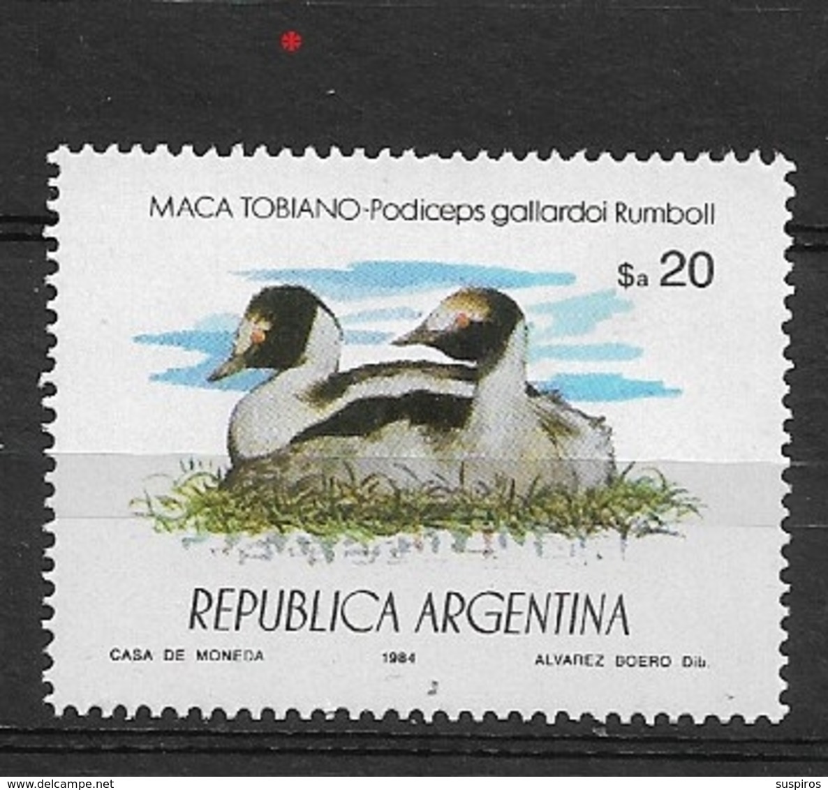 ARGENTINA  1984 Protected Animals  * Penelope Jacutinga Spix, 1825; Aburria Jacutinga - Usados