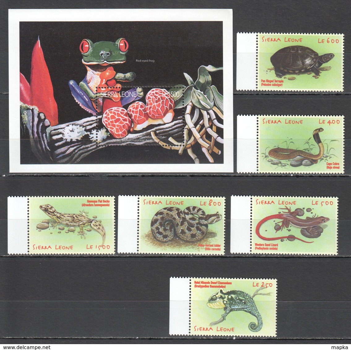 S447 SIERRA LEONE REPTILES OF AFRICA FAUNA TURTLES SNAKES LIZARDS FROGS MUSHROOMS BL+SET MNH - Autres & Non Classés