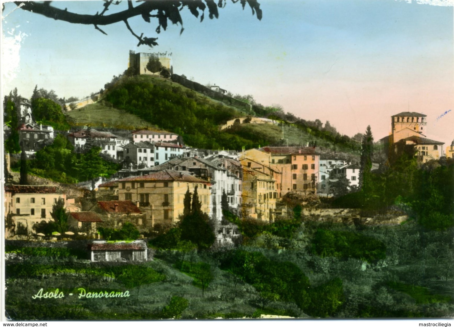 ASOLO  TREVISO  Panorama Con La Rocca - Treviso