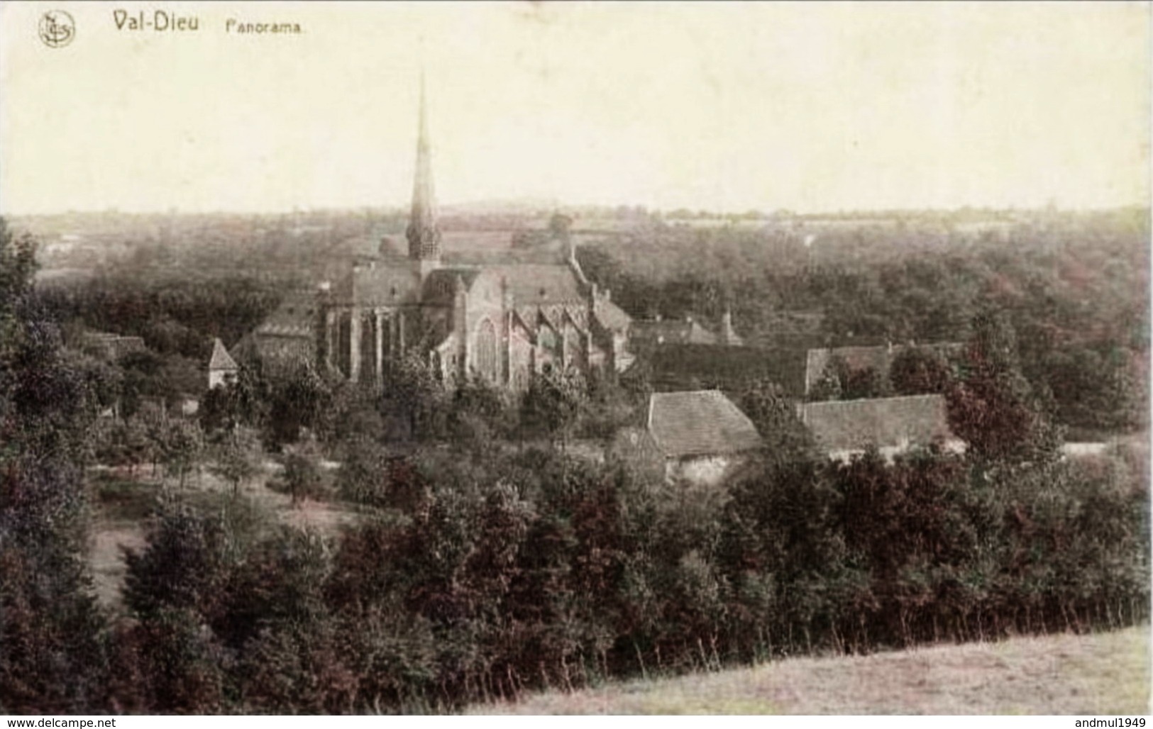 VAL-DIEU - Panorama - Imprimerie-Librairie Joseph Willems, Aubel - Aubel