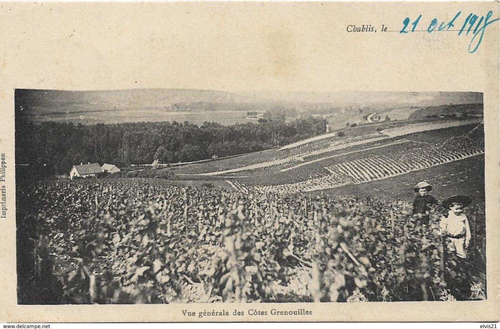 CHABLIS Vue Générale Des Côtes Grenouilles - Chablis