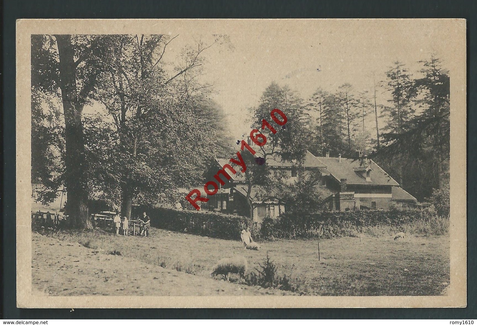 Fayen-Bois - Jupille. PUB Auberge De La Rousseliere, Avenue Jules Destrée. Carte Animée, Moutons, Bétail. Voir Dos - Beyne-Heusay