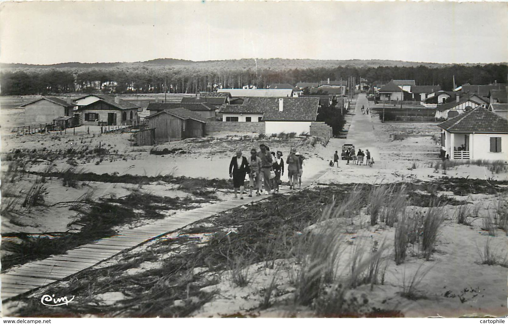 40 - BISCAROSSE - Vue Generale Et Chemin En 1956 - Biscarrosse