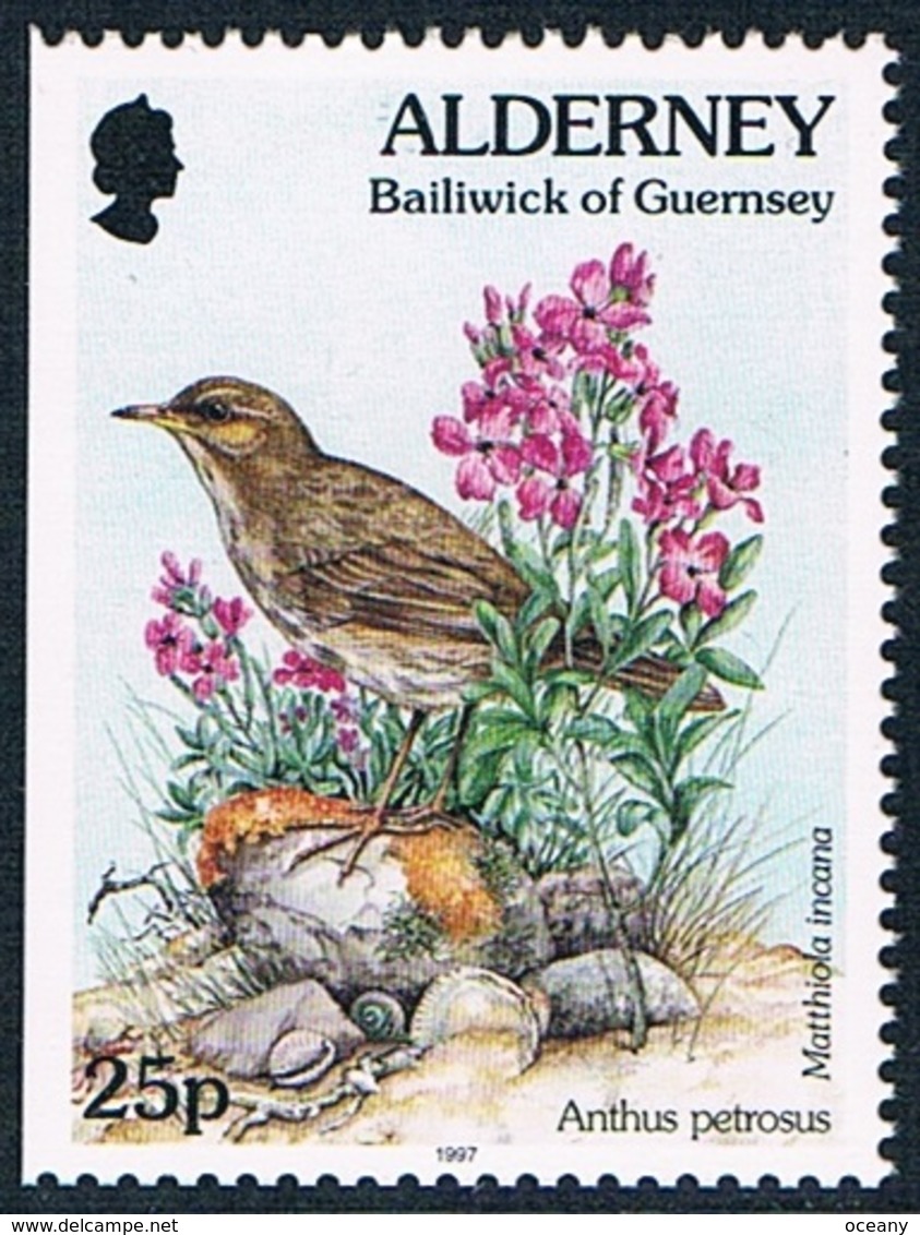 Alderney - Oiseau : Anthus Petrosus 101a (année 1997) ** - Alderney
