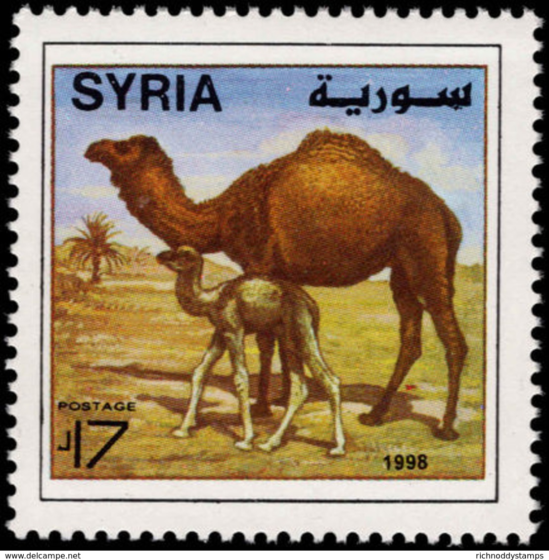 Syria 1998 Dromedaries Unmounted Mint. - Syria