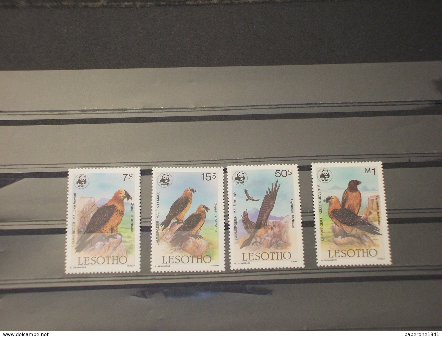 LESOTHO - 1986 WWF UCCELLI 4 VALORI - NUOVI (++) - Lesotho (1966-...)