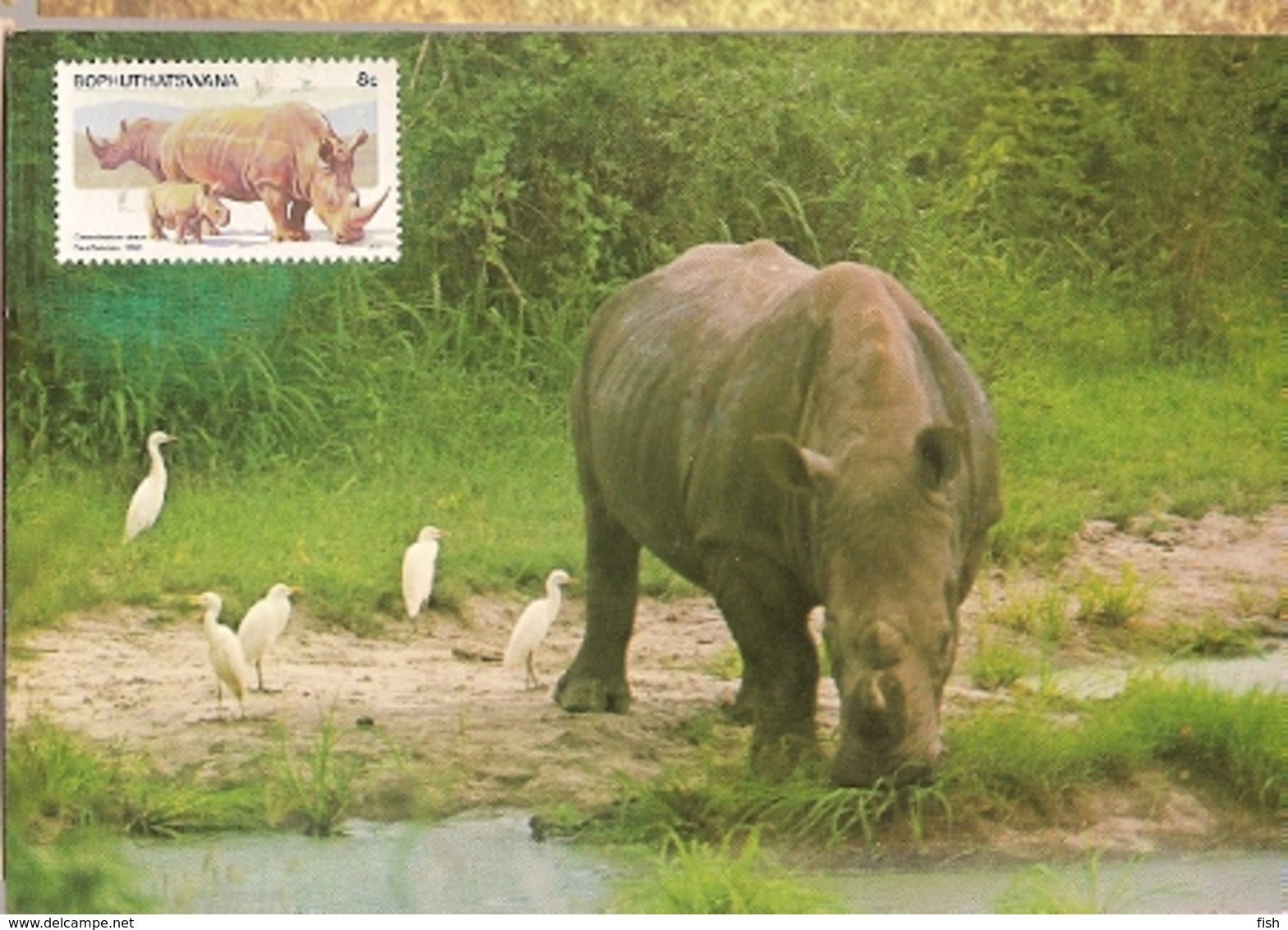 Botswana & Postal, Fauna, Rinoceronte,  Rhinocerontidae, Ceratotherium Simum,  Harare 1983 (3755) - Botsuana