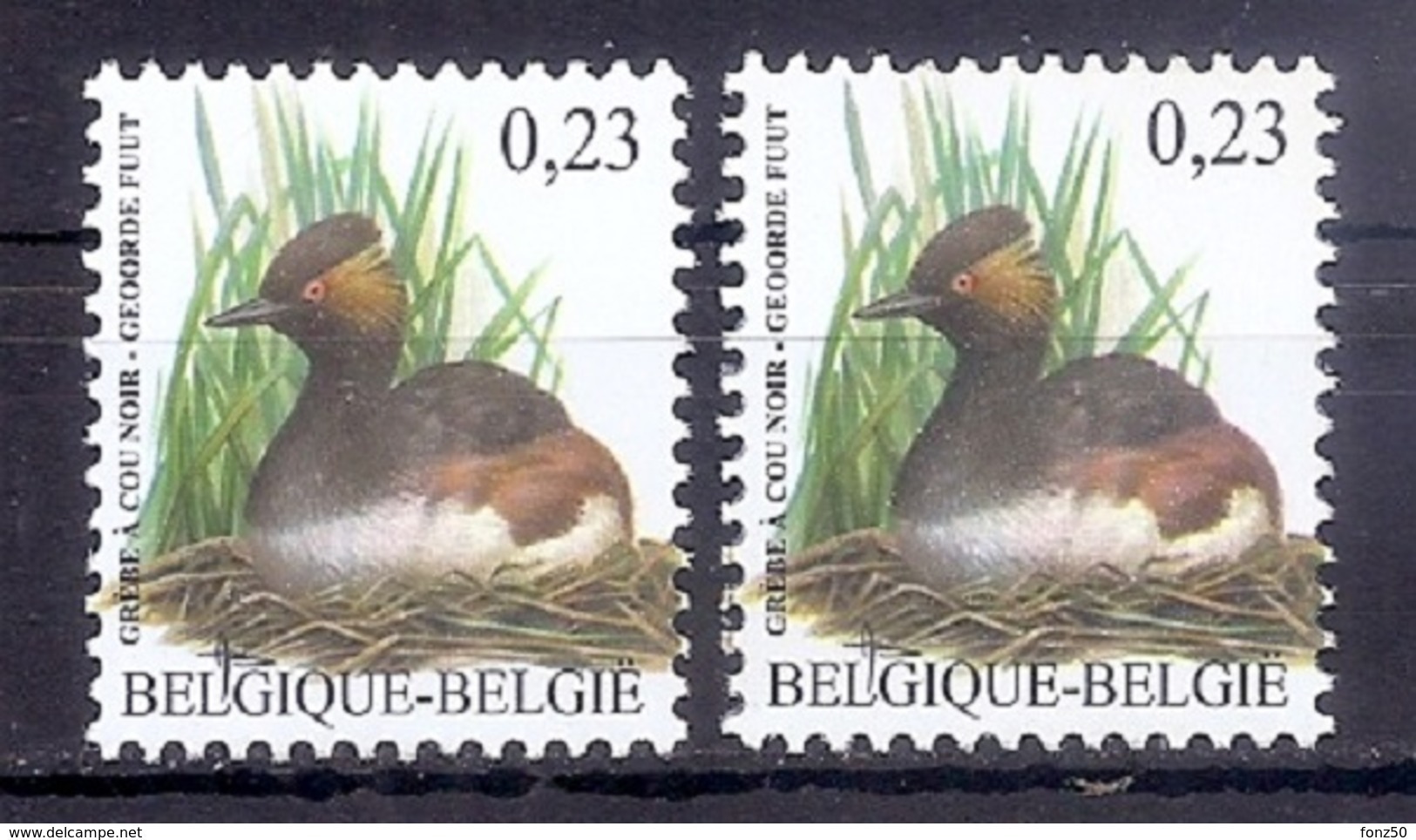 BUZIN  Papier + Kleur Variaties * Nr 3546 * Helder + Dof Fluor Papier * Postfris Xx * - 1985-.. Pájaros (Buzin)