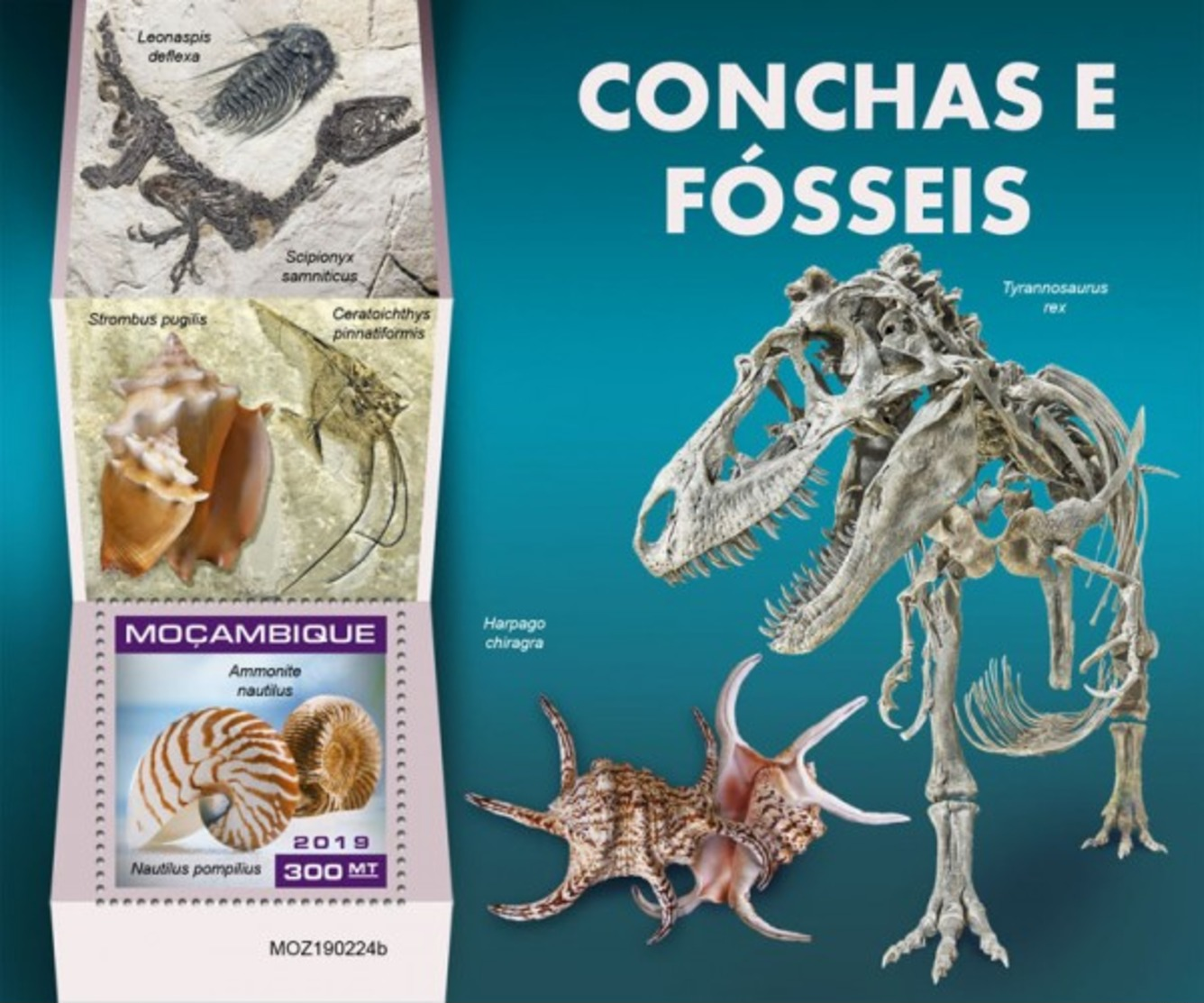Z08 MOZ190224b MOZAMBIQUE 2019 Shells And Fossils MNH ** Postfrisch - Mosambik