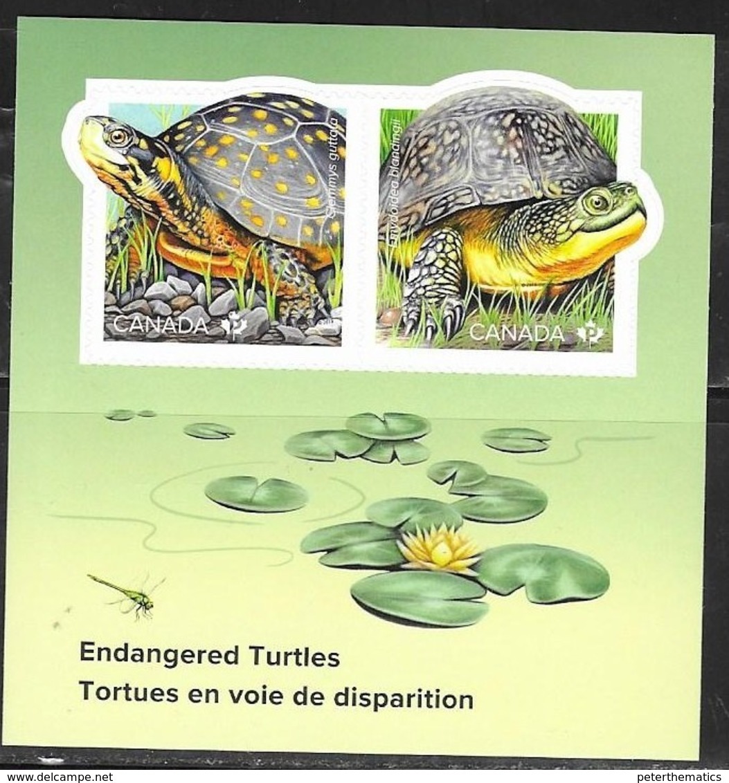 CANADA, 2019, MNH, TURTLES, ENDANGERED TURTLES, S/SHEET - Tartarughe