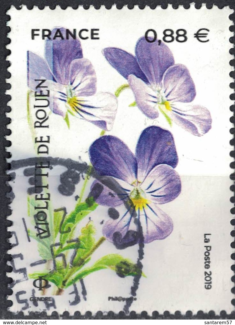 France 2019 Oblitéré Rond Used La Flore En Danger Violette De Rouen SU - Used Stamps