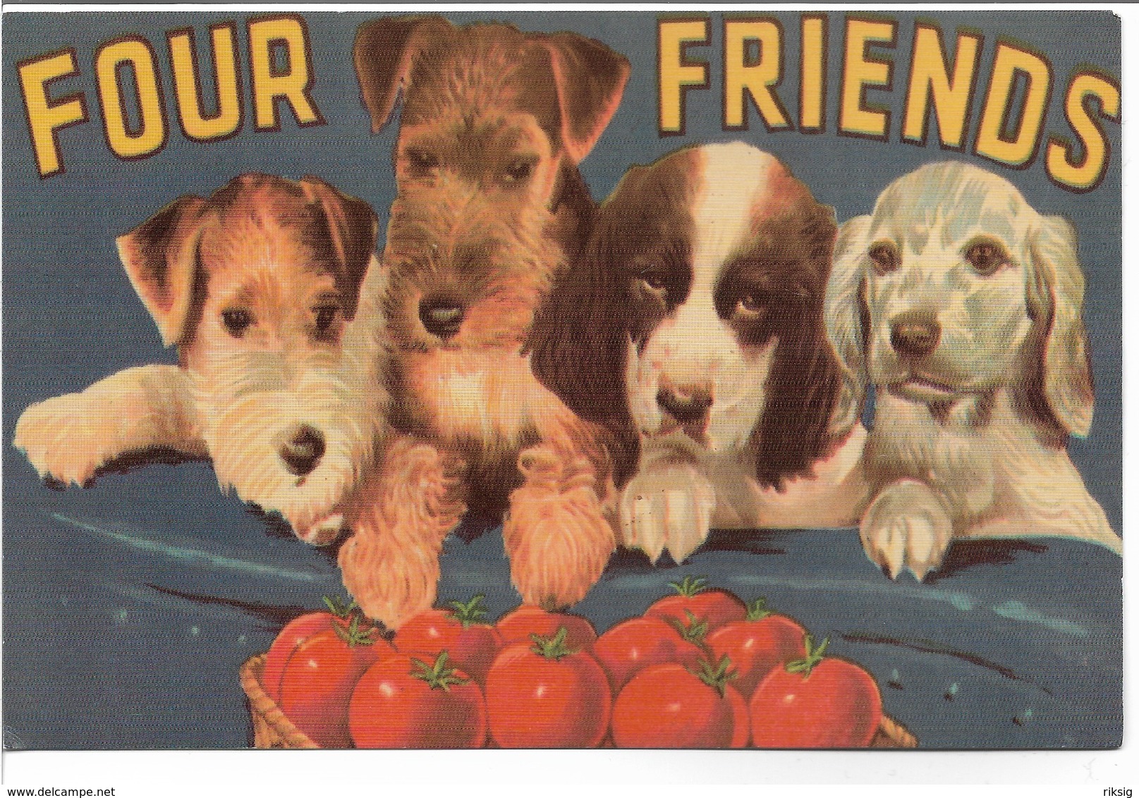 Dogs - Four Friends.  H-656 - Dogs